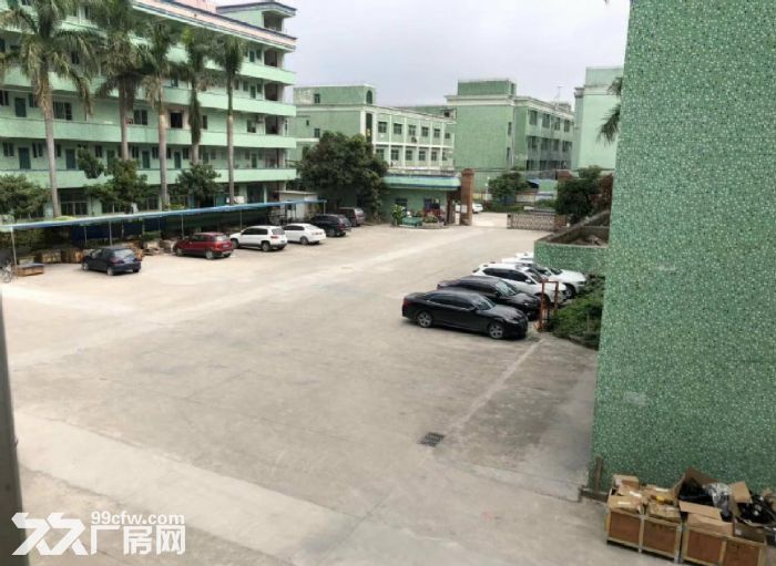 龙岗坂田布龙路边,新出原房东红本一楼厂房1000平,带精装办公室,空地大 - 3