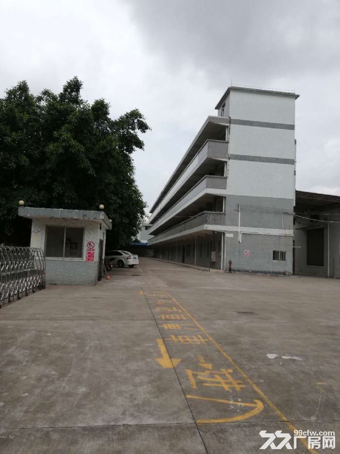 台山单一层钢构独门独院厂房6500平方招租