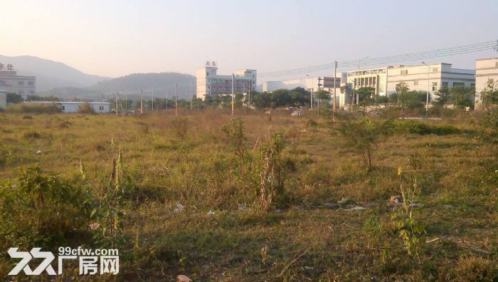 东莞市常平镇11600平方独院厂房出售(集体合同)2580万 - 2