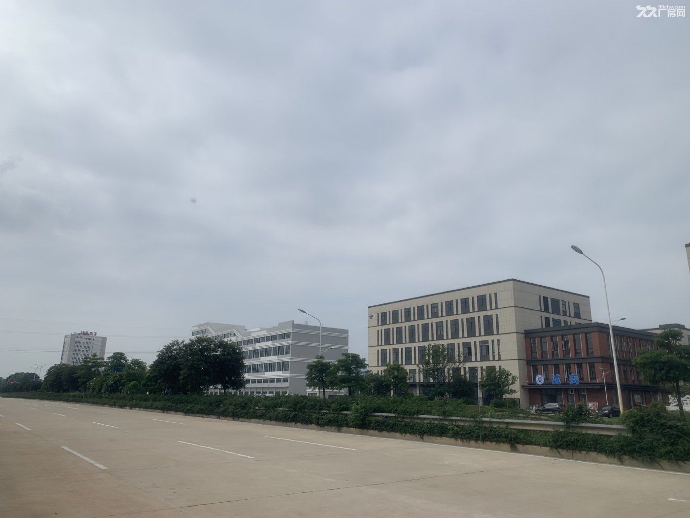 一手标准厂房准现房，50年独立产权可分层和双拼，面积800-6000平 层高8米 - 8