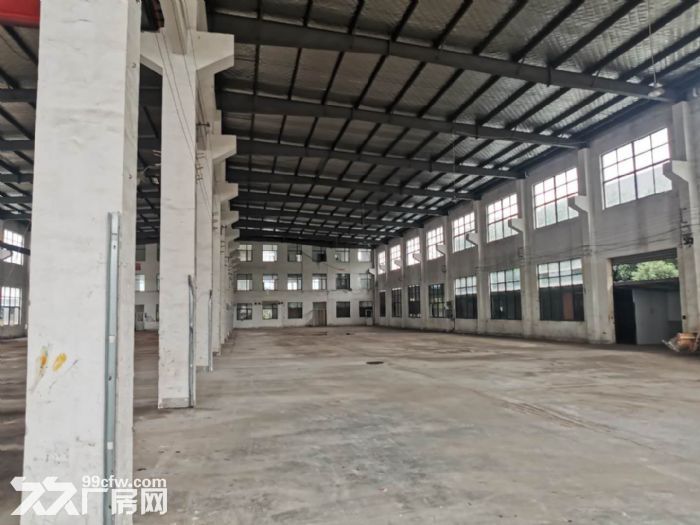 禄口9000平单层厂房仓库出租,高9米,可分租1000平起,适合家具,移门,机械 - 4