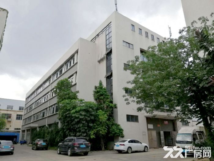 番禺大龙凌边村新出标准厂房3100平出租，面积实量，可办环评