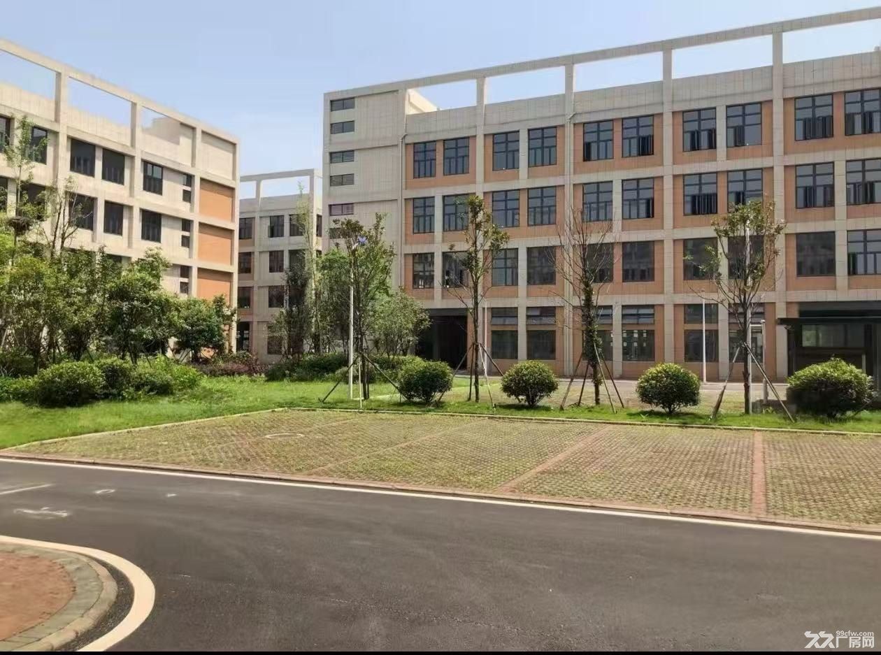 华中红木家具城附近框架厂房,层高7米,可分租整租 - 3