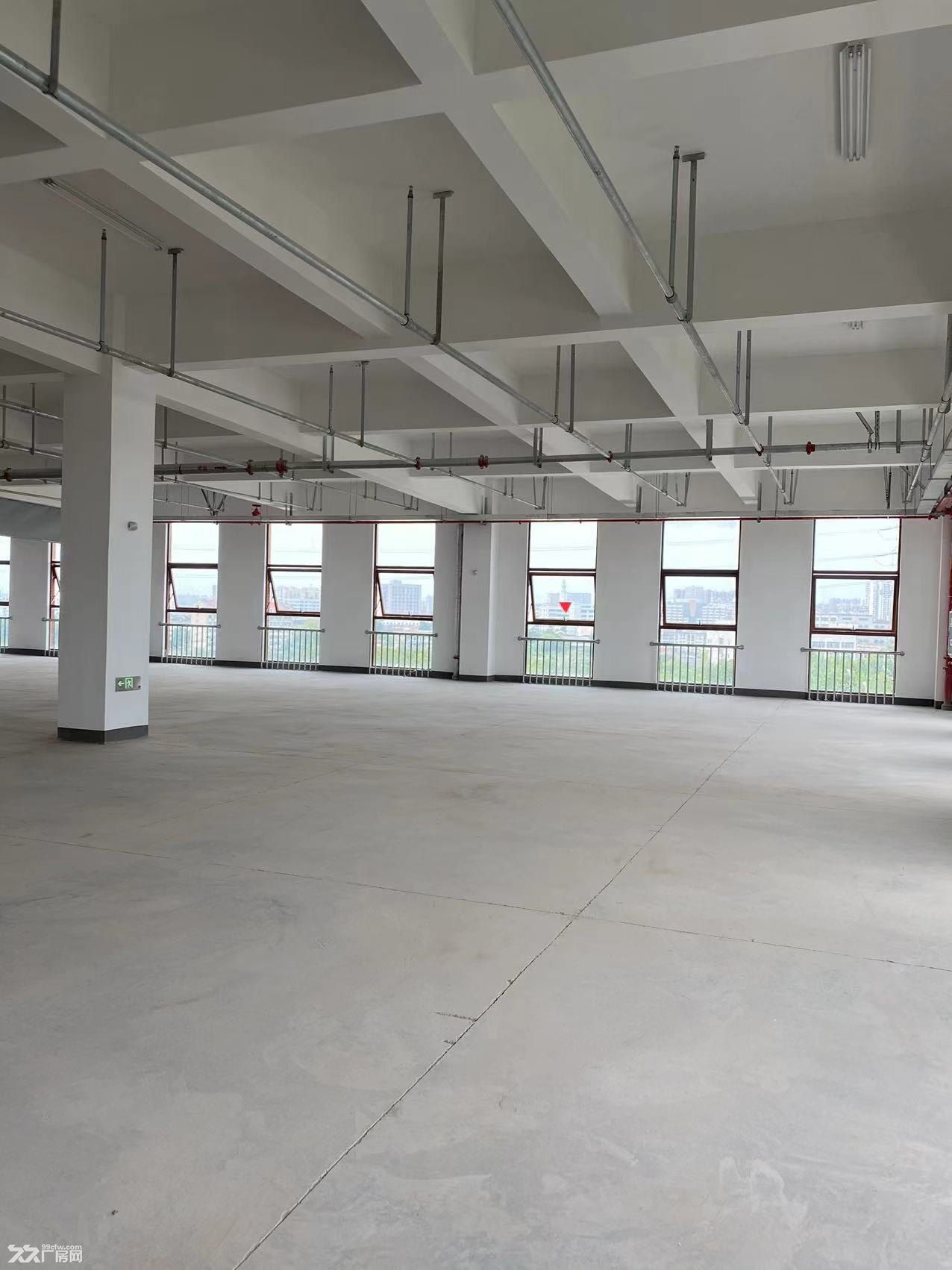 永兴厂房出租20000m² 可分租 - 8