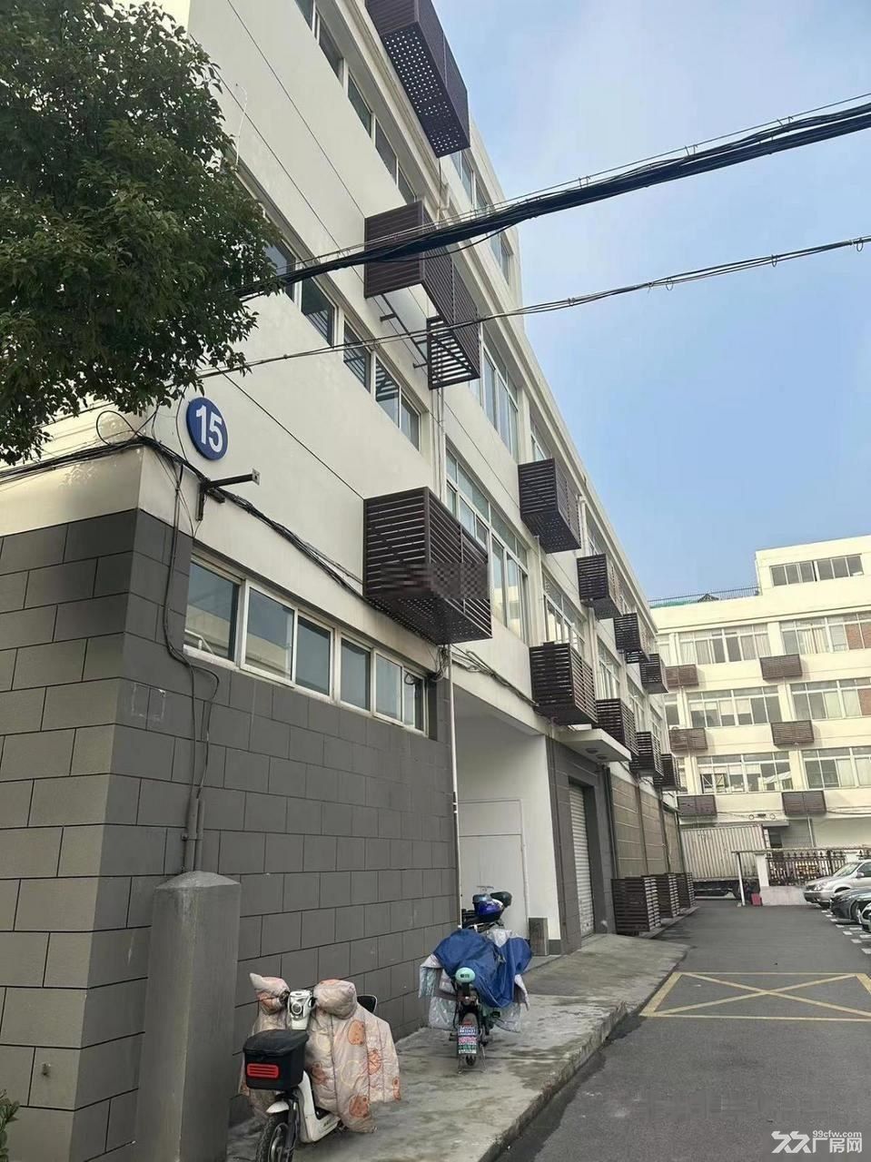 出租普陀长征地铁临近厂房价优 - 3