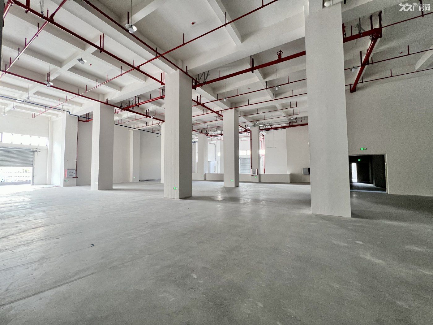顺德大良伦桂路全新独栋厂房招租 - 7