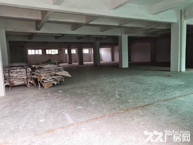 南海里水近金沙洲标准一楼厂房1080平,可办环评,适合电大注塑类 - 4