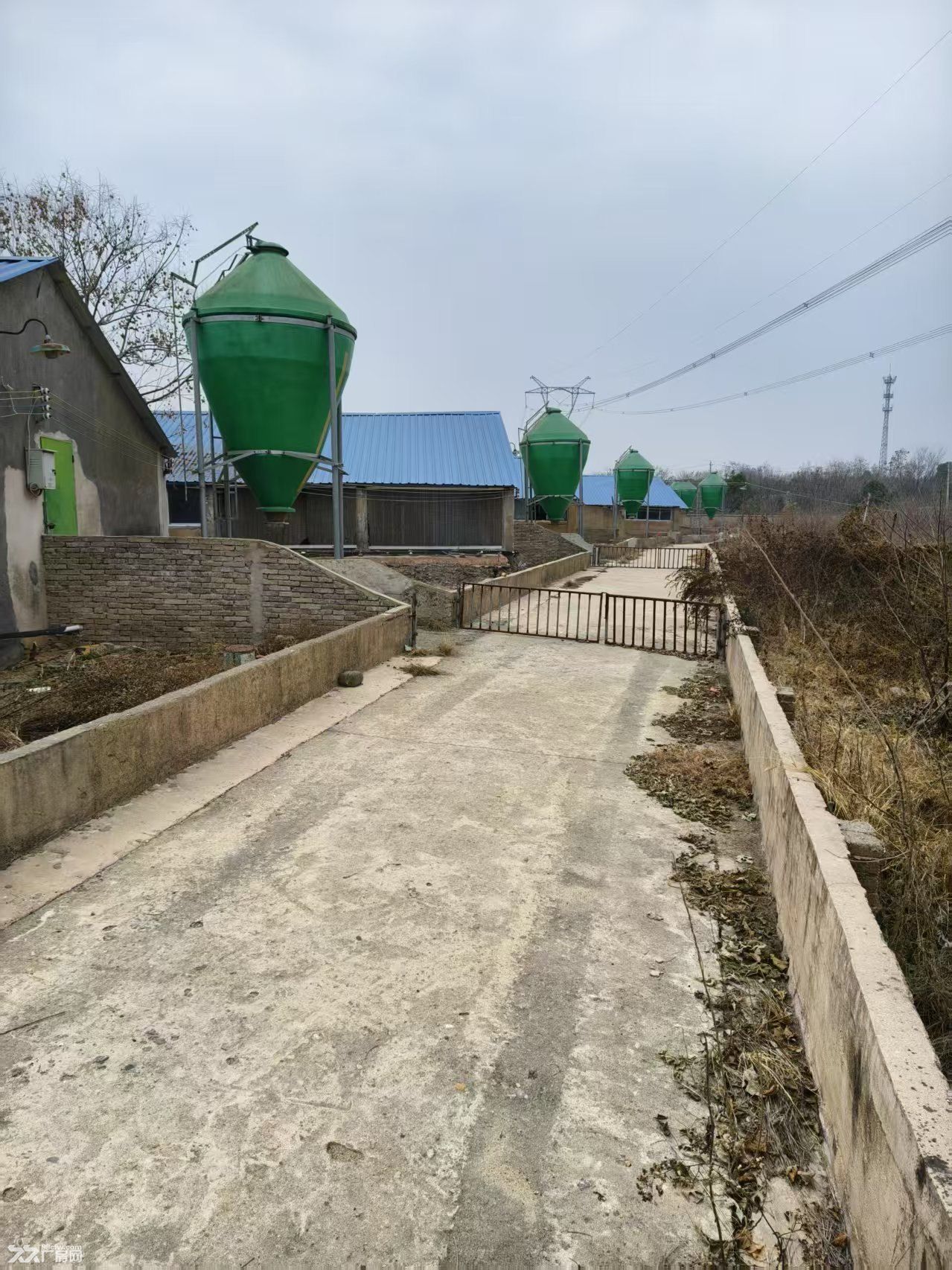 8000平方养猪场出租售