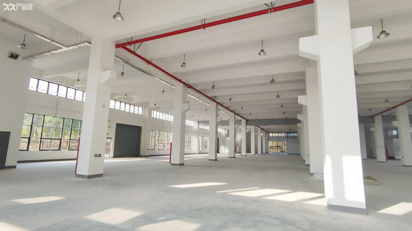 我是房东一福利路8号厂房400一15000m²可以分租 - 6