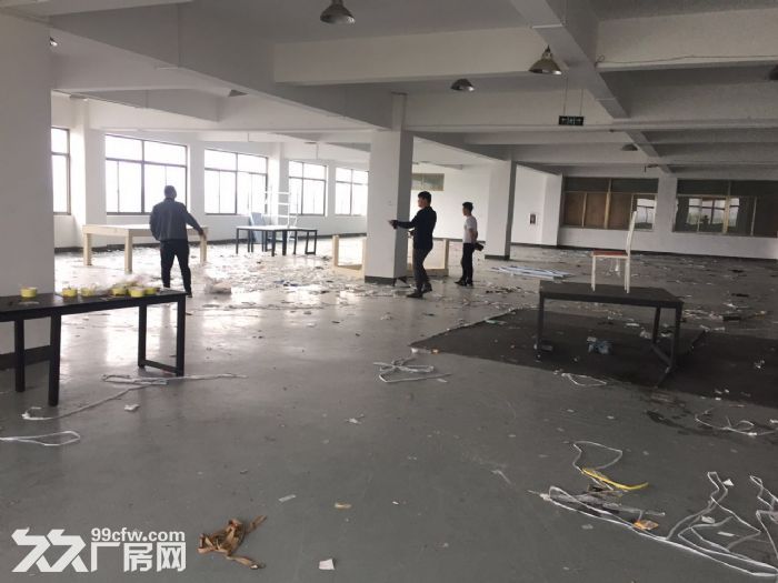 滨江600方厂房出租 价格便宜 淘宝仓储办公 - 6