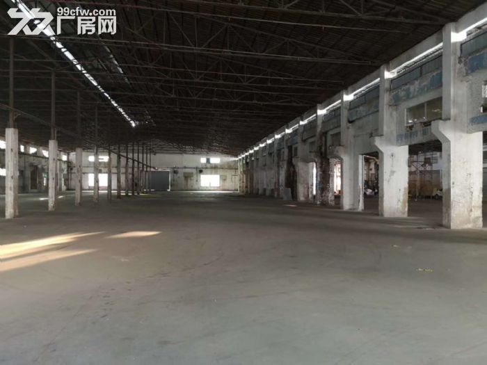 江门蓬江荷塘独院单一层厂房1000至5000平方分栋出租 - 3