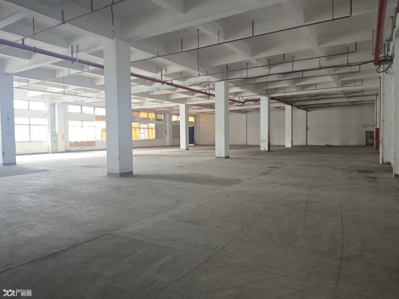 惠南南芦公路1000平标准厂房出租 - 4