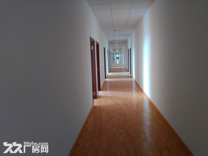 科学园多处单层厂房出租，面积900-- - 6