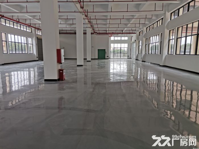 白云区新出标准独栋高台厂房9100平，空地8500，高7.5米，可分租，拖车可进 - 2