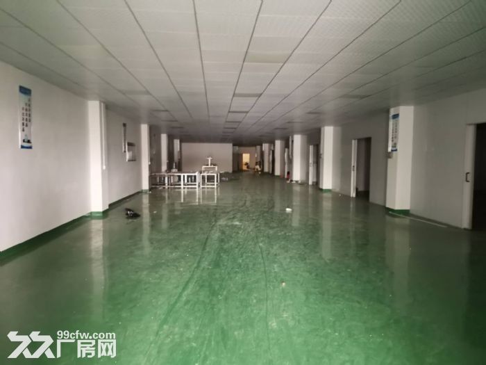 台山水步文工业区独院标准配甲级喷淋消防厂房1800平方招租