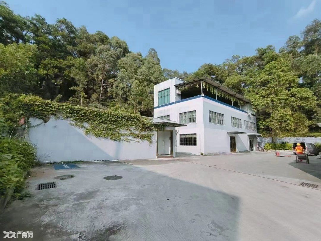 宝安石岩红本独门独院10000平8米层高厂房 - 5