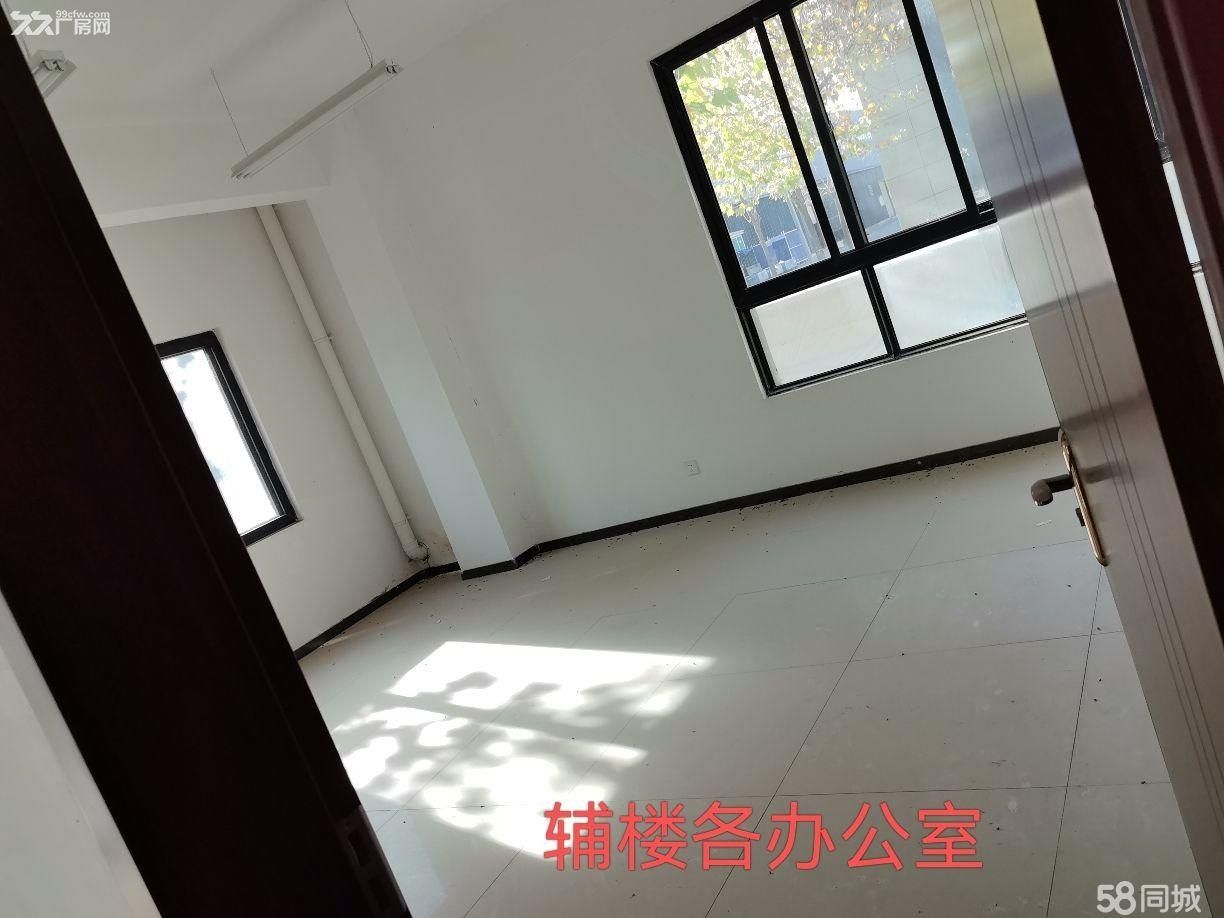 厂房出租蔡家坡百万平方米标准化厂房C期，面积：4029.43㎡。单层钢结构厂房 - 7