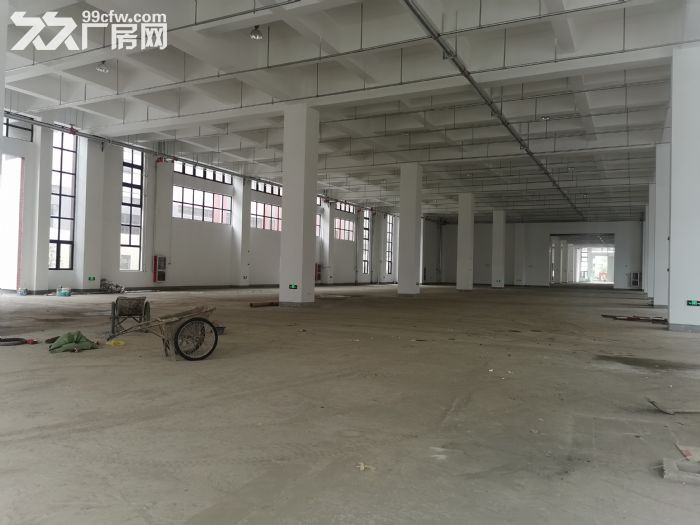 浦东临港双层丙二类厂房仓库35000平高9米无税收要求可环评加工仓储 - 3