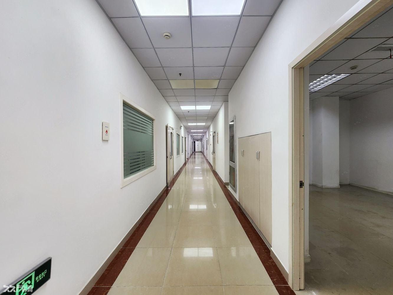 张江医疗器械产业园 厂房出租 独栋 研发 生产 仓库 可环评 - 4
