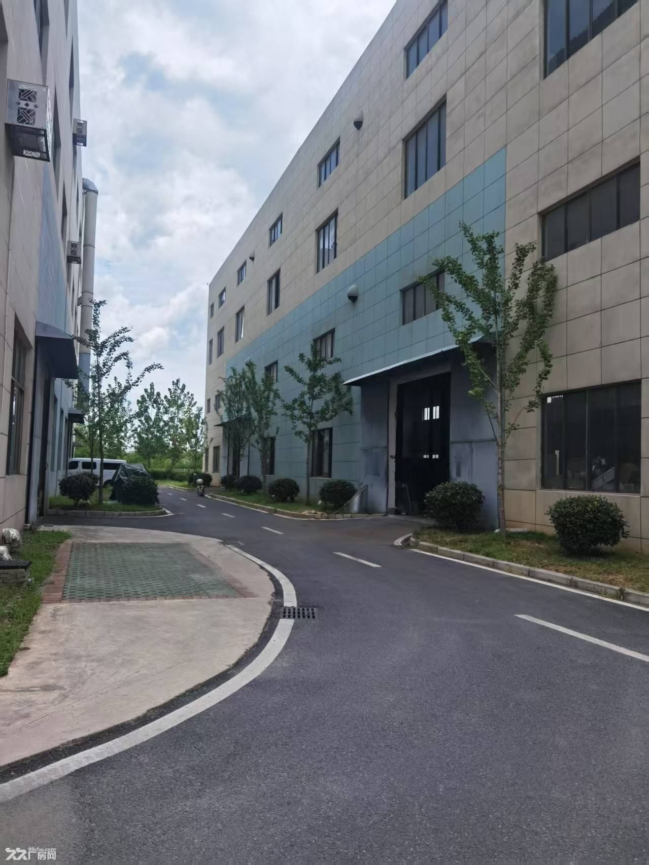 黄金口工业园厂房仓库招租 - 5