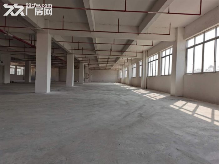 鹤山工业新城独院1至2层标准框架结构厂房4000平方招租 - 4