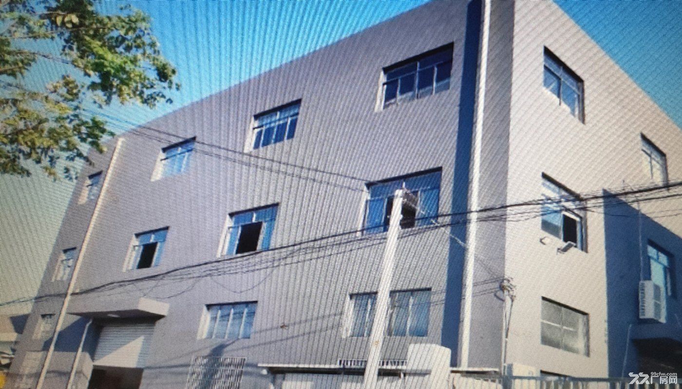 象山西周镇土地4亩全新厂房高8米7000平方售1250万