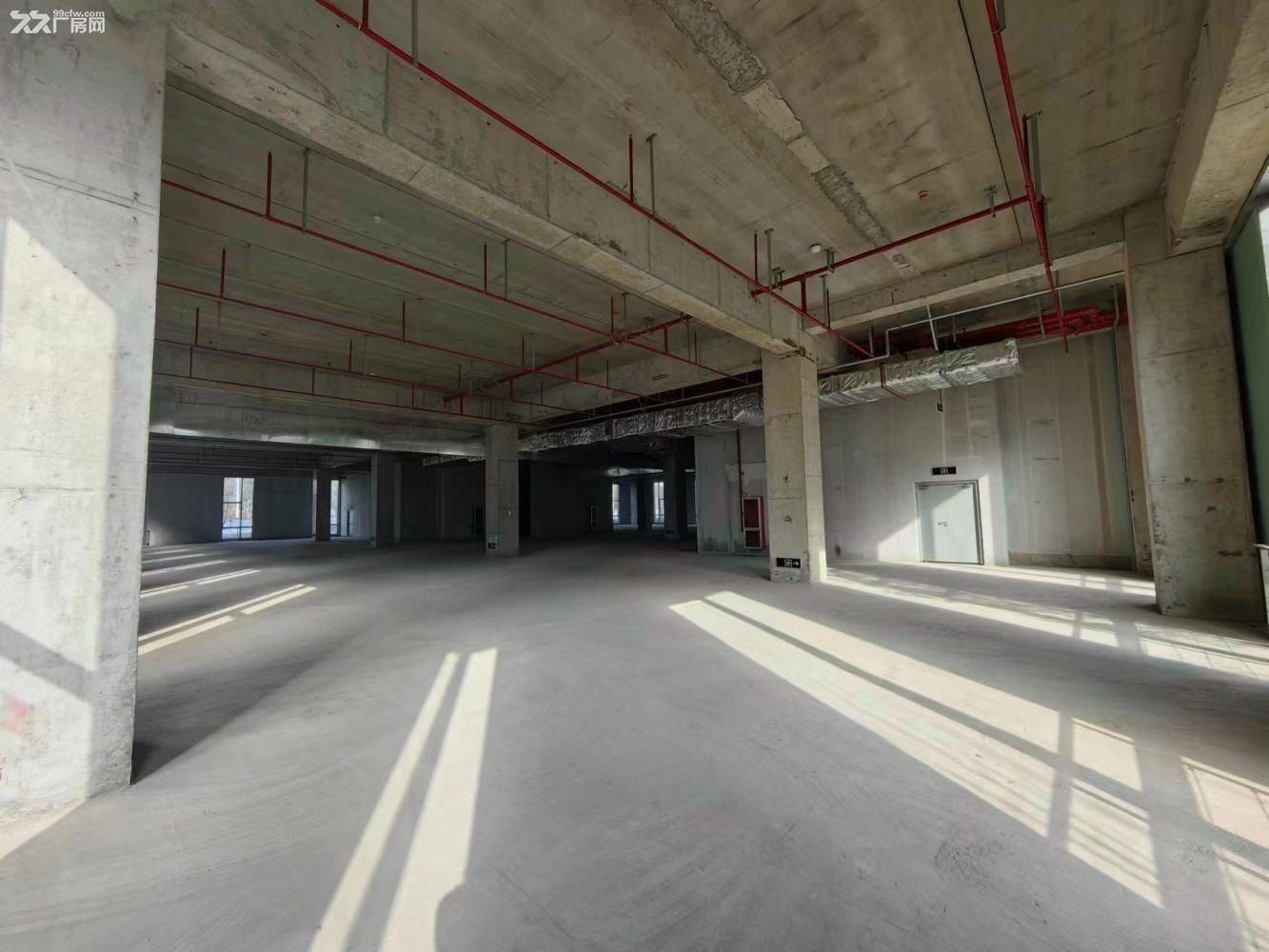 上海自由贸易试验区 外高桥保税区 全新研发生厂房 - 8