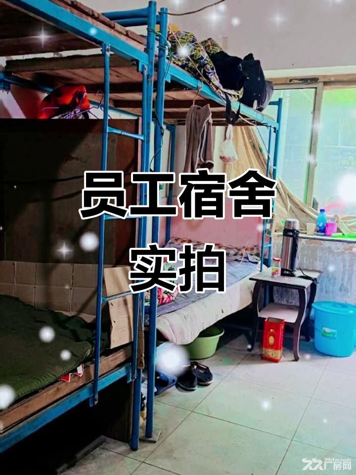房东直租 无中介费  600平整层宿舍待租