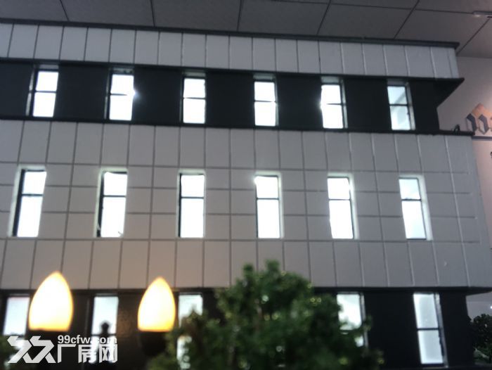 嘉兴平湖经济开发区稀缺厂房2129平50年产权厂房有环评可注册开发商直售 - 6