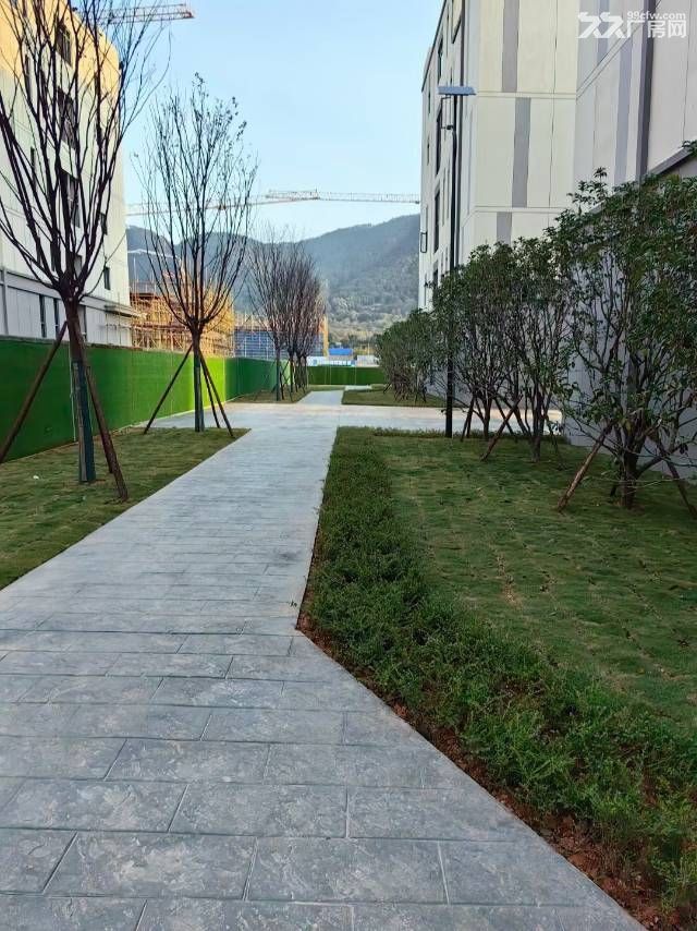 石井框架小独栋产权分割厂房 - 3