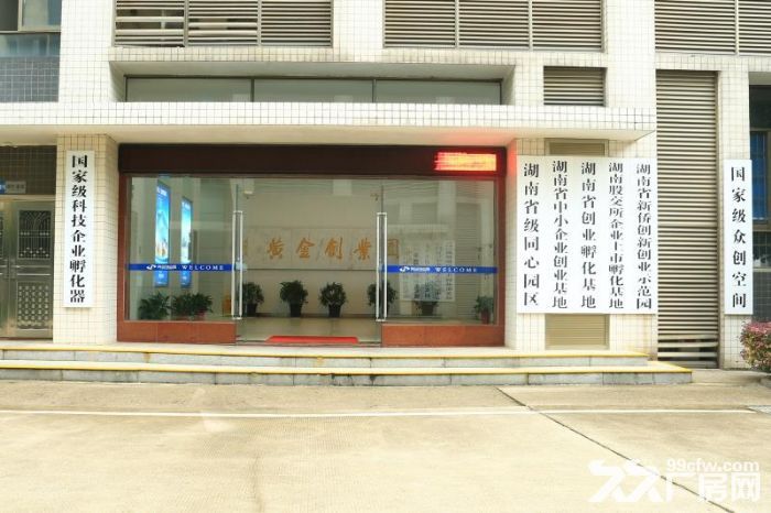 (园区非中介)望城黄金创业园多层孵化器厂房出租 - 4