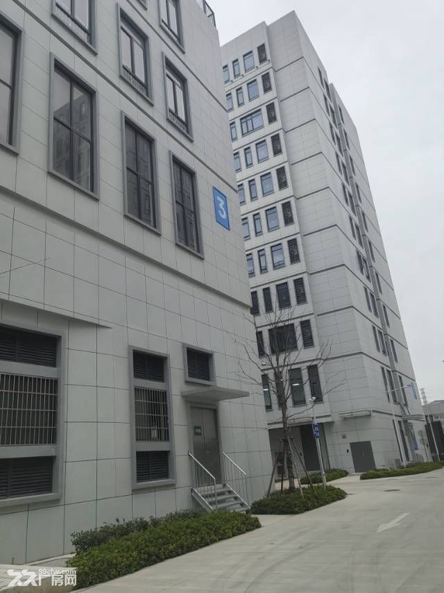 全新厂房出租蛟川2000平 - 5