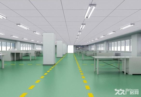 《《合》》汝湖原房东独门独院厂房3200平方出租 - 4