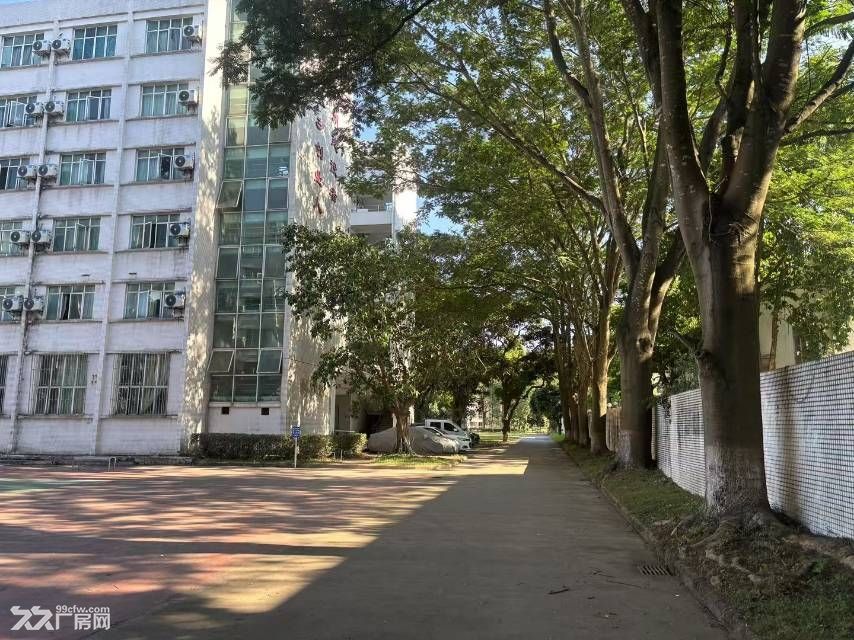 黄埔区知识城层高12米工业厂房出租 - 7