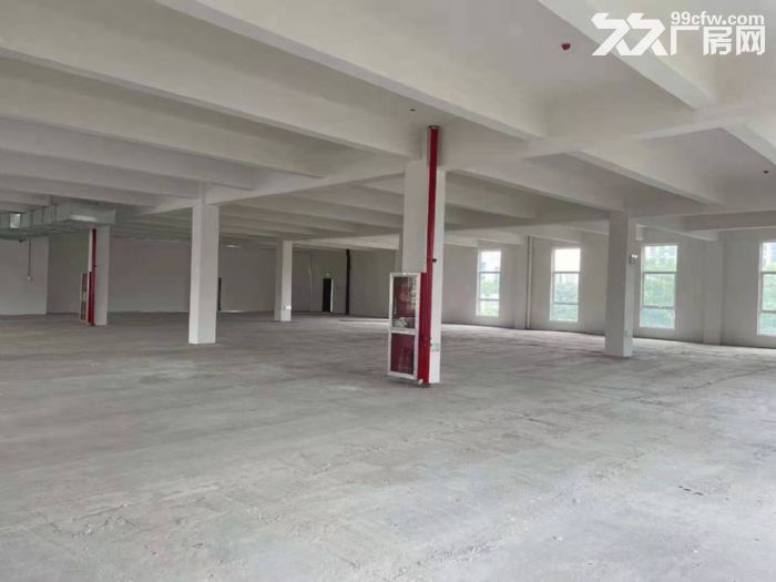 电子信息产业园,可排污,配套齐全 - 2