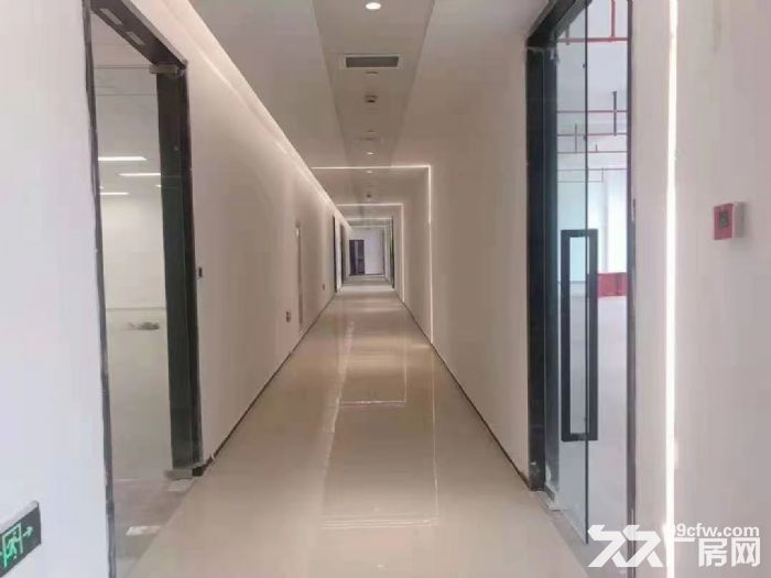 颛桥地铁旁 电商仓库 办公室 可以小面积分割 价格便宜 - 3