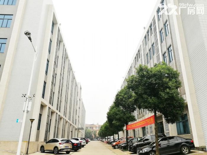 (园区非中介)望城黄金创业园多层孵化器厂房出租 - 3