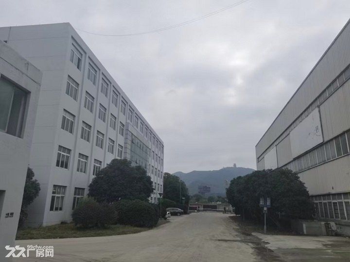 单层钢结构厂房优惠出租 - 5
