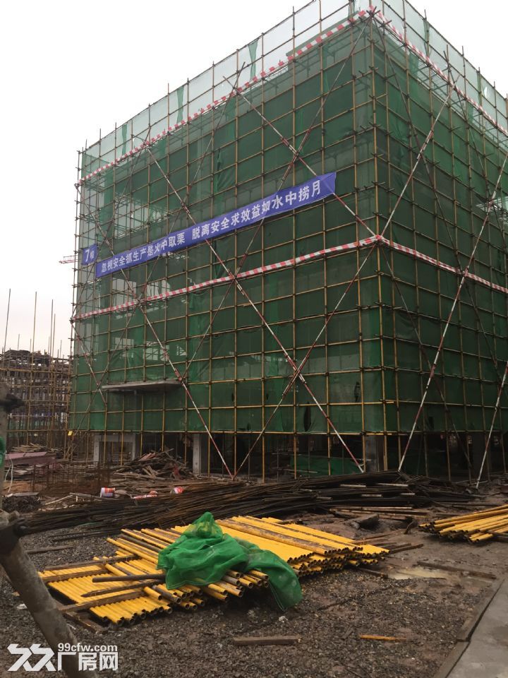双福独栋办公、仓库、沿街仓库出售 - 4