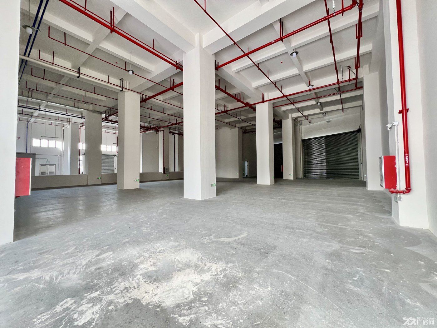 顺德大良伦桂路全新独栋厂房招租 - 6