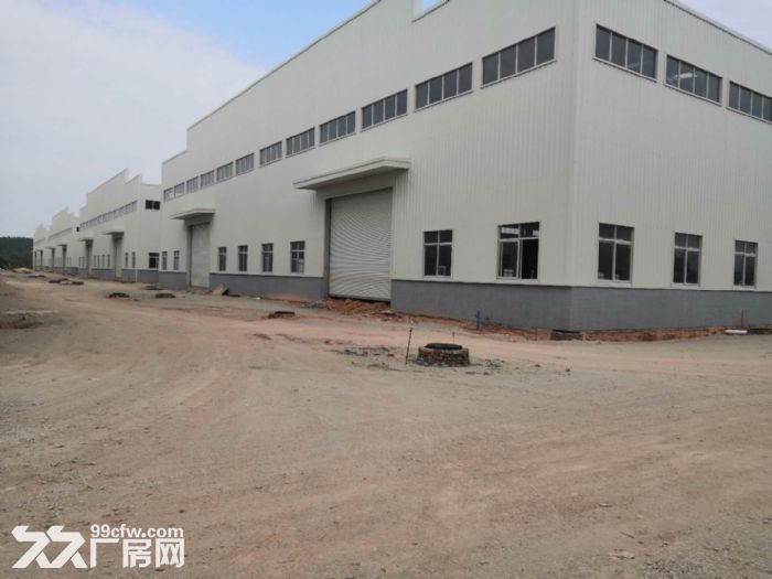 江门台山工业新城独院空地大50000平方厂房仓库招租 - 5
