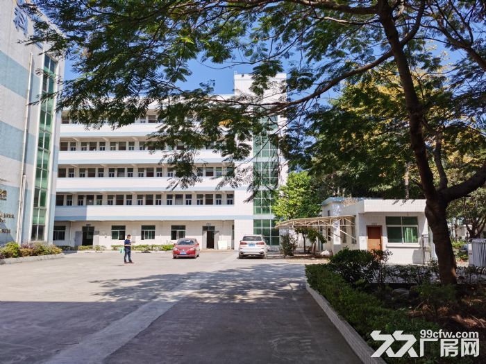 塘厦大坪出口独院花园式厂房7380平米出租 - 6