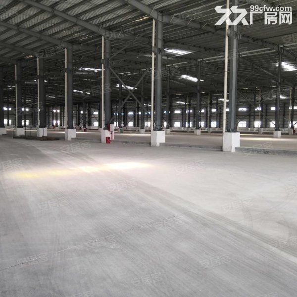 江门台山长龙工业区12米高钢结构厂房仓库15000平方可分租 - 5