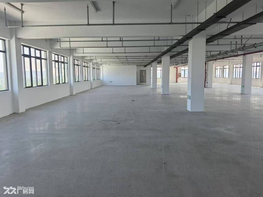 新站区标准厂房独门独院920平可分租