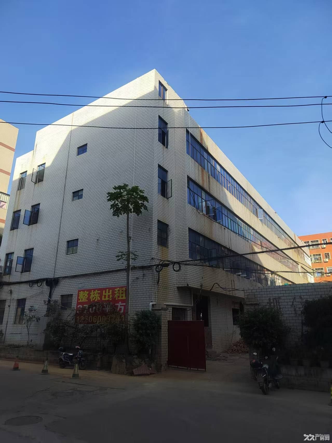930平方厂房出租 位于4楼 有电梯 - 2