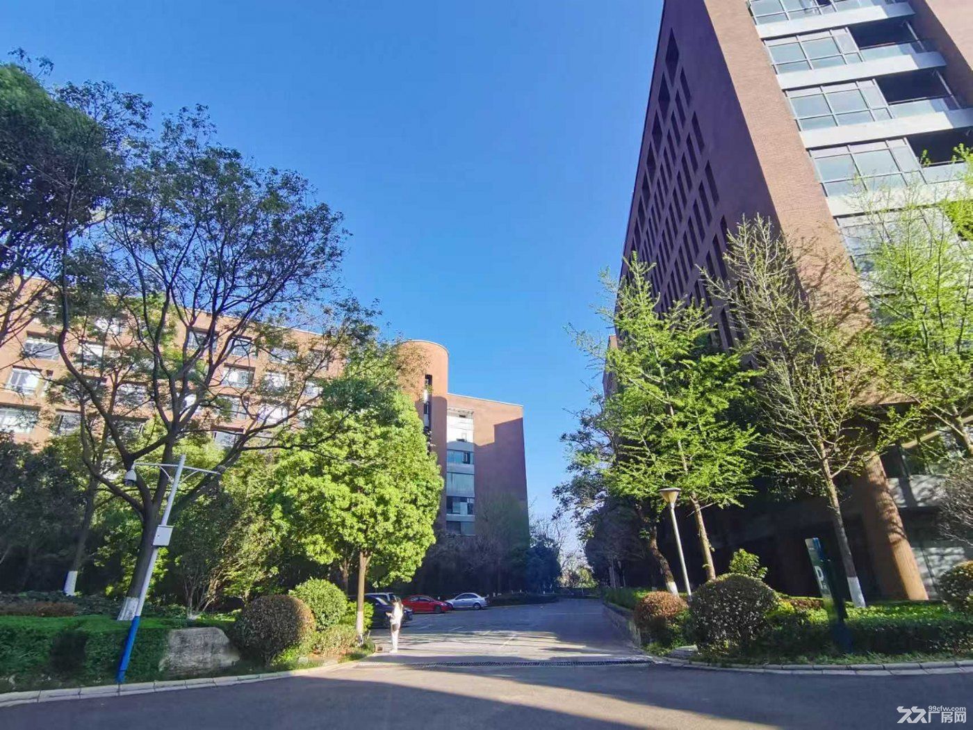 花园式园区丨交通便利丨价格优惠丨证件齐全 - 6
