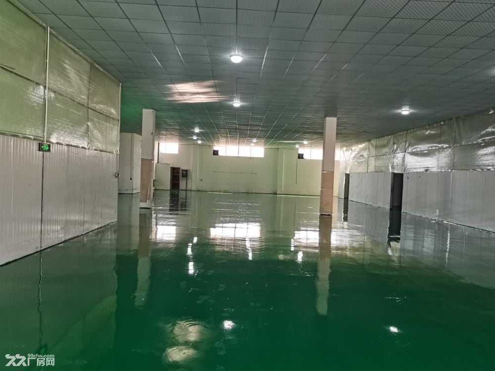 房东直租胶州胶北工业园厂房仓库(证照齐全、可环评、污水管网) - 2