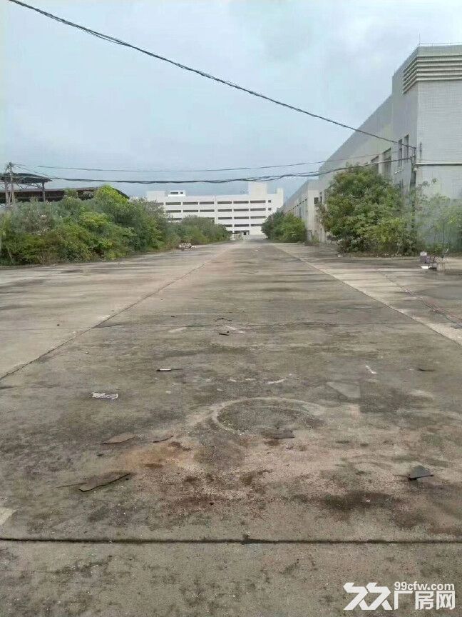 禅城南庄工业园区新出单一层厂房,10000平,可分租,电大,可办环评 - 3