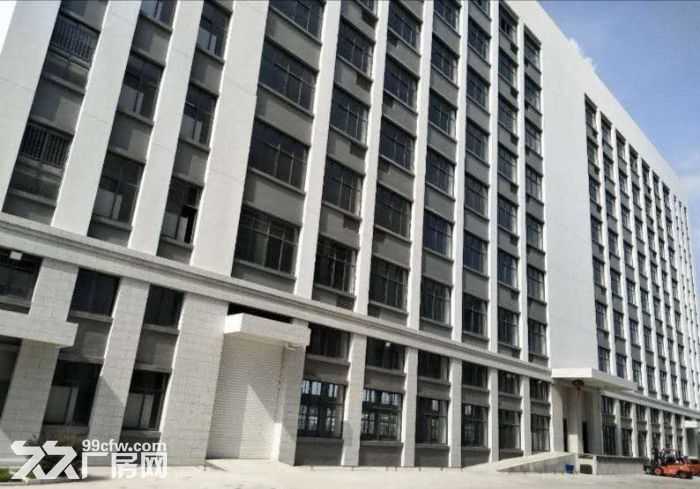 海沧马青路两栋5层每层2000平全新标准厂房招租，可分割