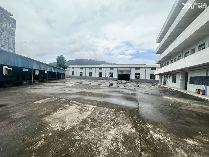 原房东独院厂房 滴水 8 米空地免费
